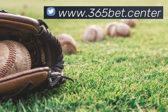 bet365中国官网登录入口平台生态图